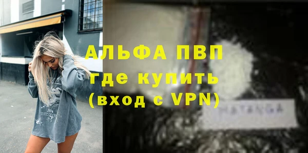 твердый Магас