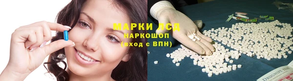 твердый Магас