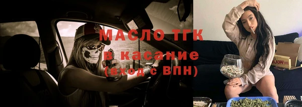 твердый Магас