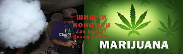 твердый Магас