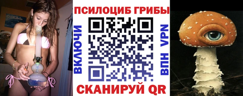 Купить где  Иланский  Галлюциногенные грибы прущие грибы 